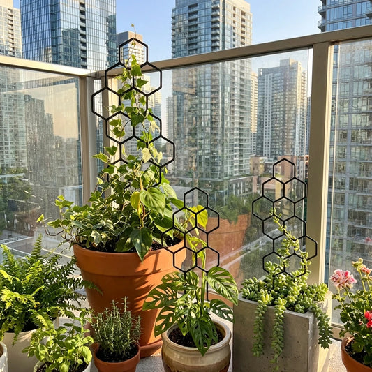 Honeycomb Plant Trellis