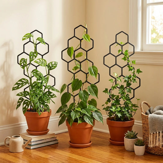 Honeycomb Plant Trellis